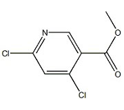 KL20024            65973-52-6         4,6-二氯烟酸甲酯