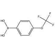 KL40052            139301-27-2       4-(trifluoromethoxy)benzeneboronic acid