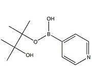 KL40117            181219-01-2       4-pyridineboronic acid pinacol ester