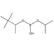 KL40134            61676-62-8         isopropyl pinacolyl borate