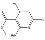 KL20142            1044872-40-3     2-氨基-4，6-二氯烟酸甲酯
