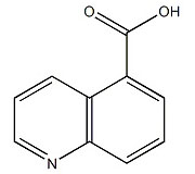 KL80140            7250-53-5           喹啉-5-羧酸