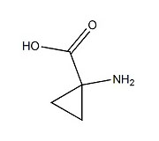 KL60003            84677-06-5         Z-1-Aminocyclopropane-1-carboxylic acid
